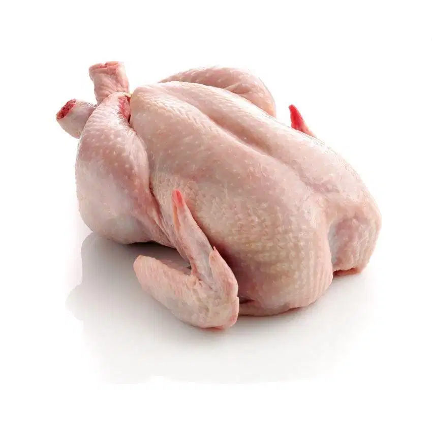 JAGA KIOS AYAM POTONG