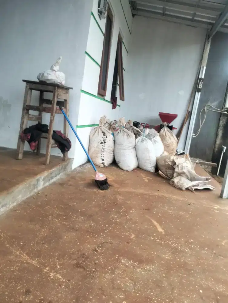 Pupuk tanaman kohe kambing