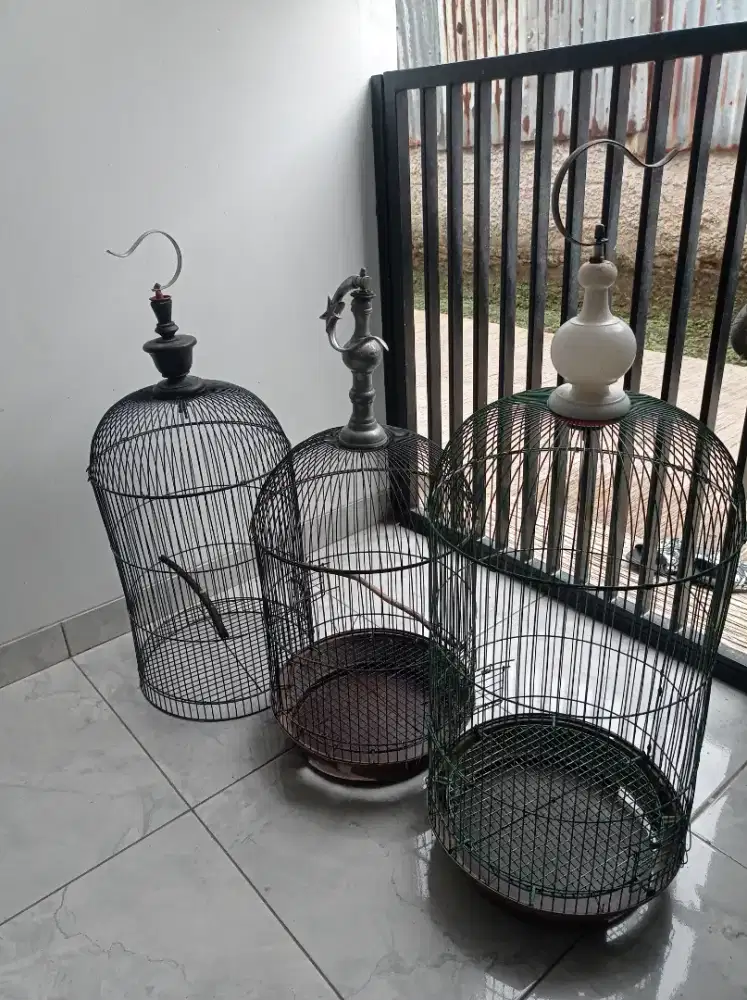 Kandang kapsul love bird