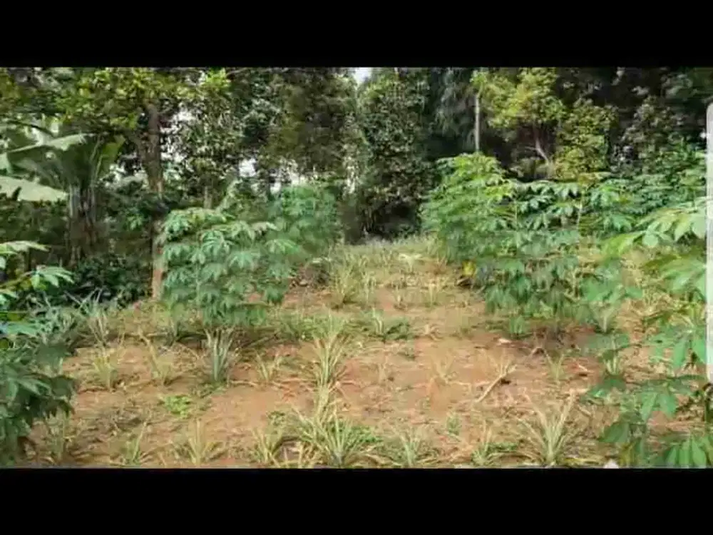 DIJUAL TANAH 604 M2 PONDOK BITUNG