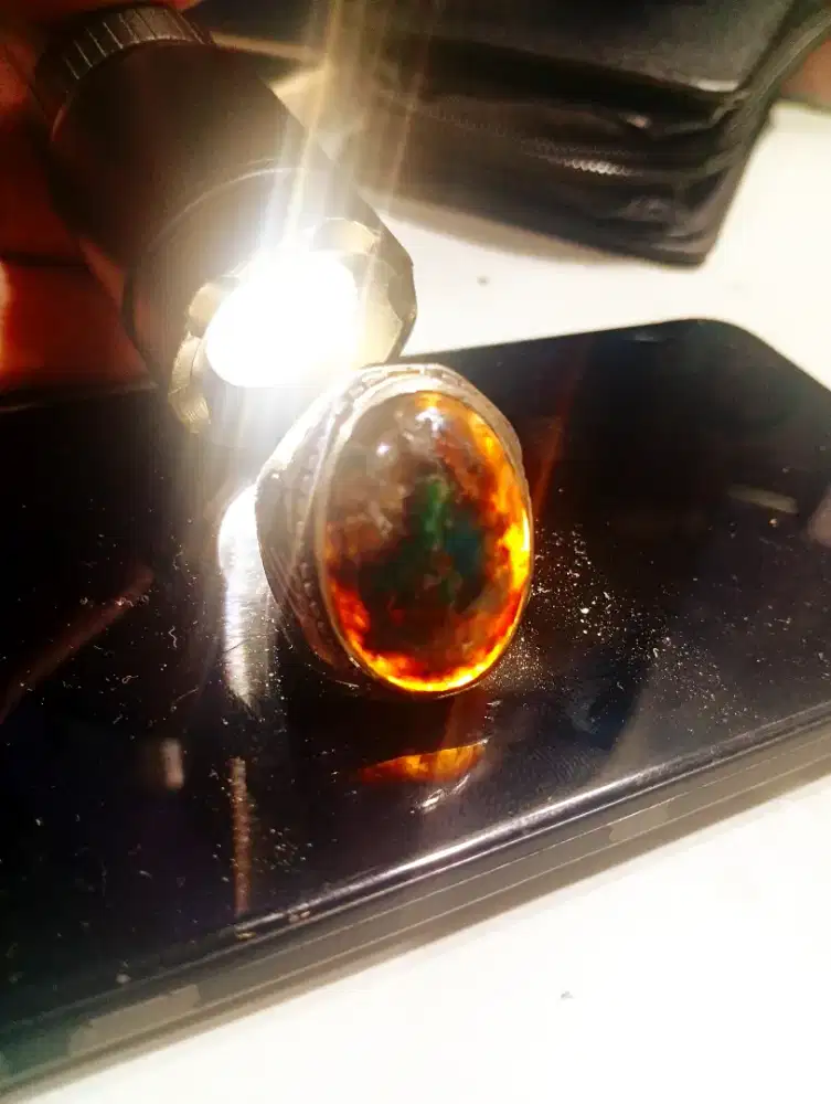 Bacan coklat uniq tembus serat pirus