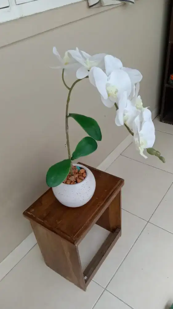 Di jual Bunga plastik anggrek bulan