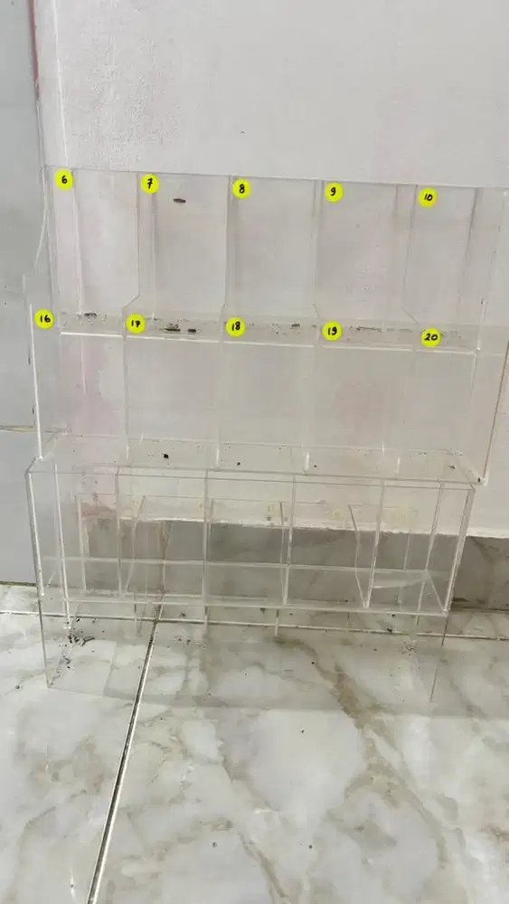 Acrylic Aquarium Ikan Cupang 2 Tingkat (10 Kotak)