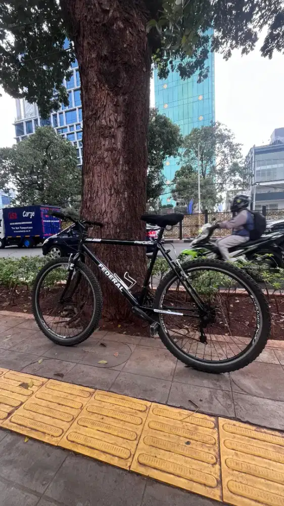 Frame Federal MTB Alloy – Siap Build, Kondisi Mulus