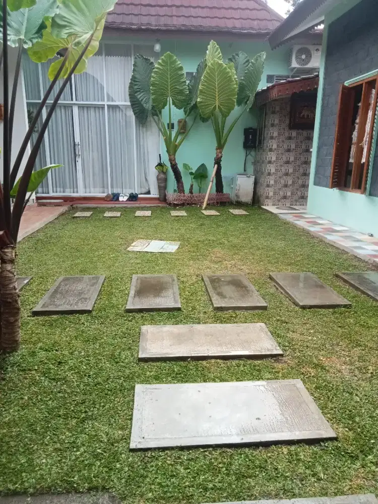 Jasa potong rumput dan tebang pohon