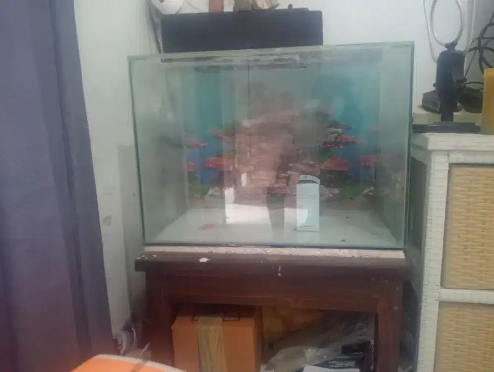 Akuarium 50×30 Cm + Meja 50×40cm