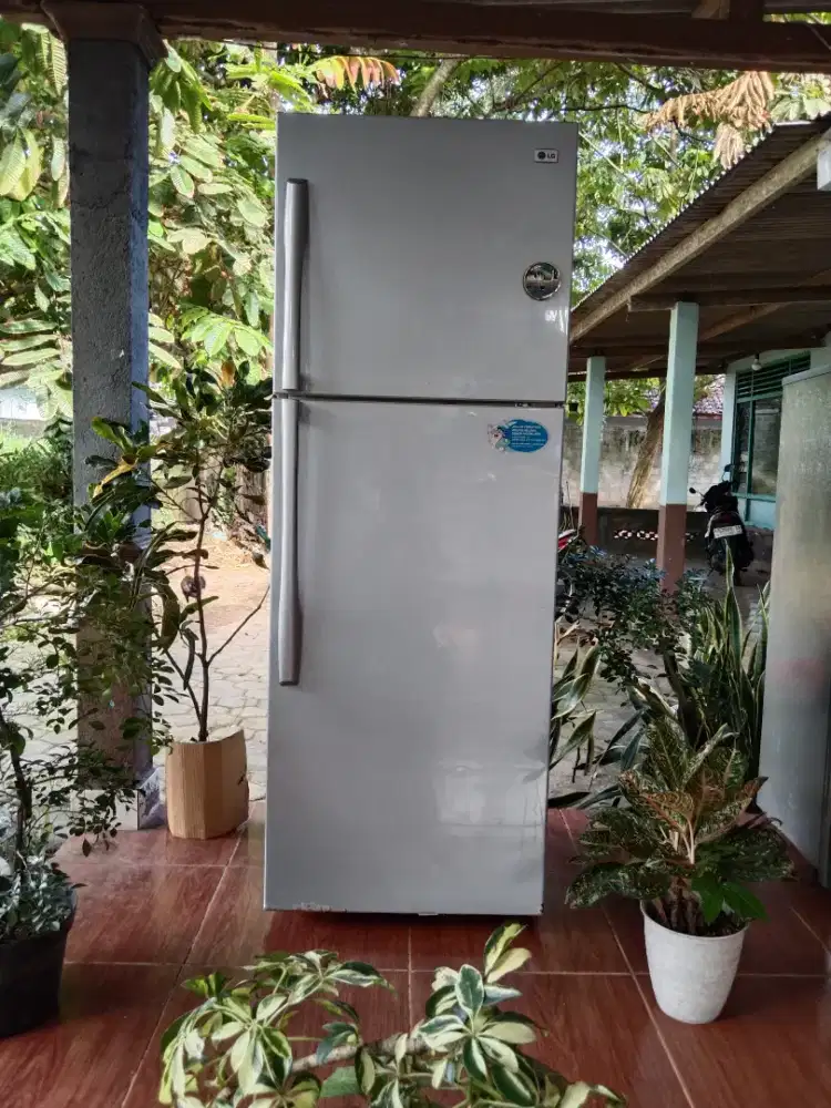 Kulkas LG 2 pintu jumbo