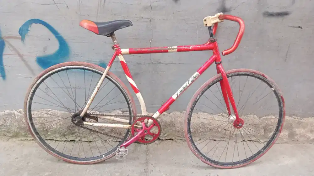 Sepeda fixie Rem torpedo