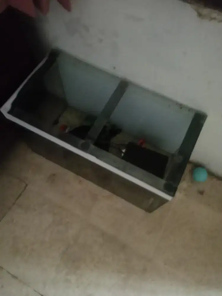 jual borongan satuan juga bisa