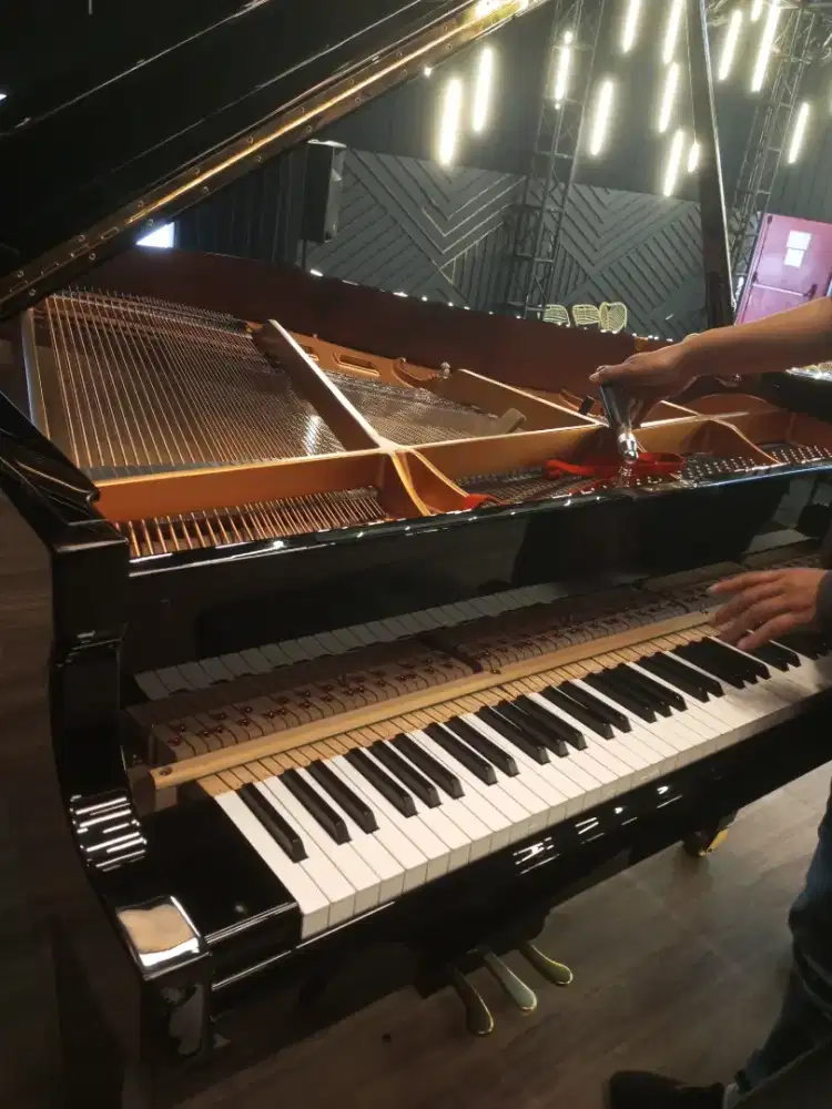 Jasa Stem Piano Profesional | Nada Akurat & Rapi