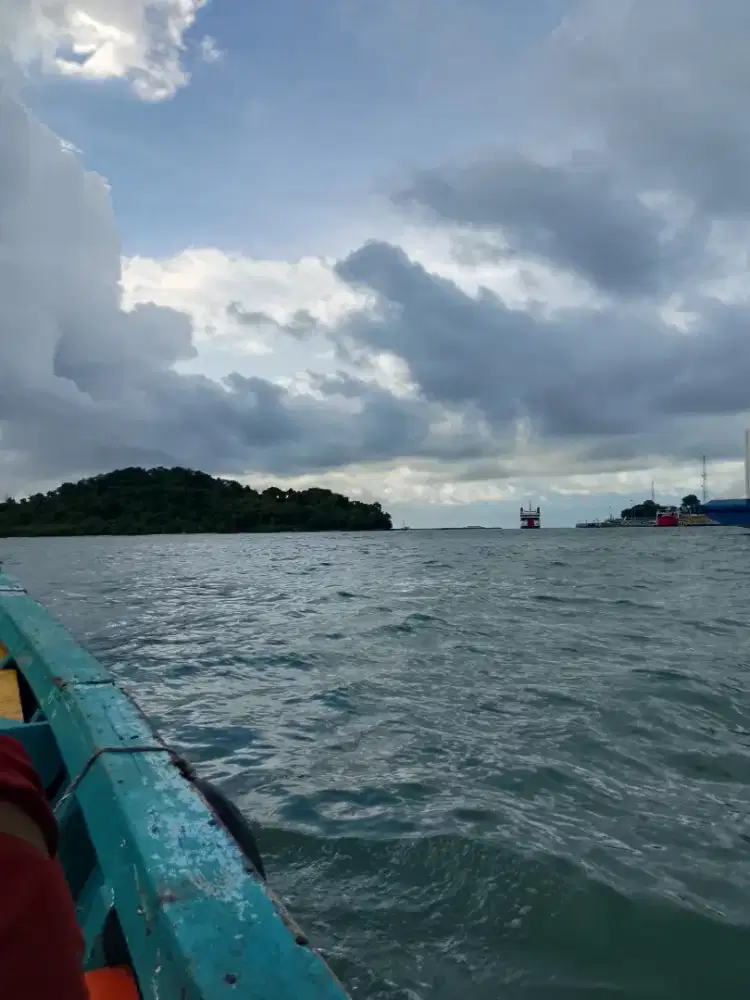 freelance bales chat