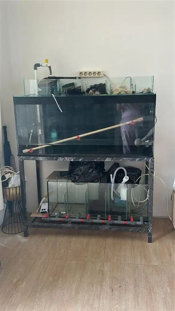 Dijual akuarium+rak ukuran 120x50x50 plus isinya kecuali lampu