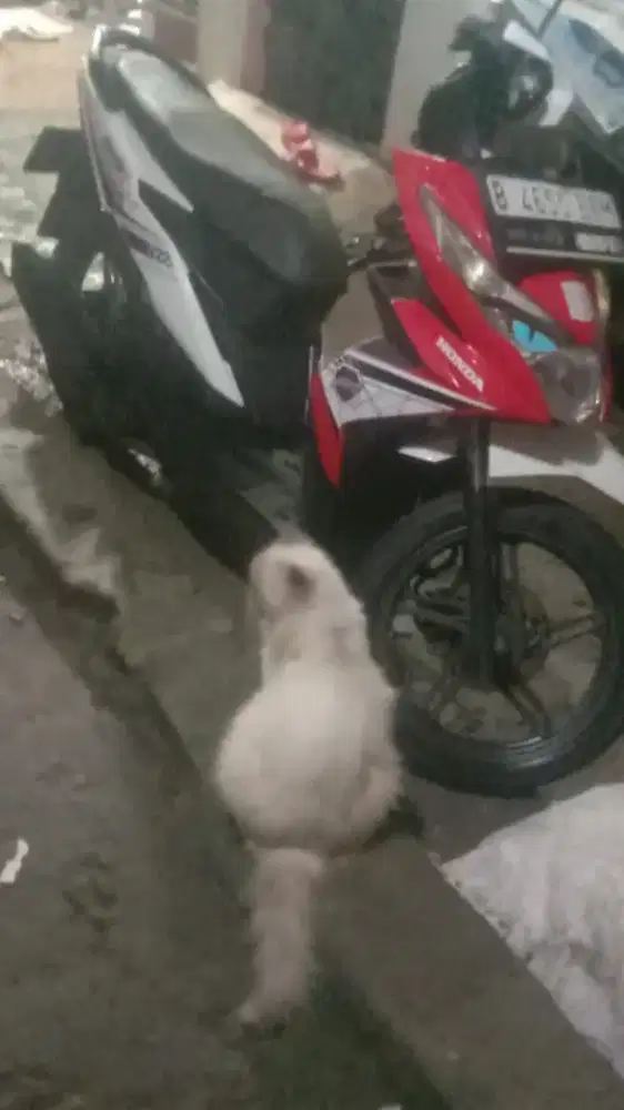 Vario 150 Led Old CBS ISS ORIGINAL