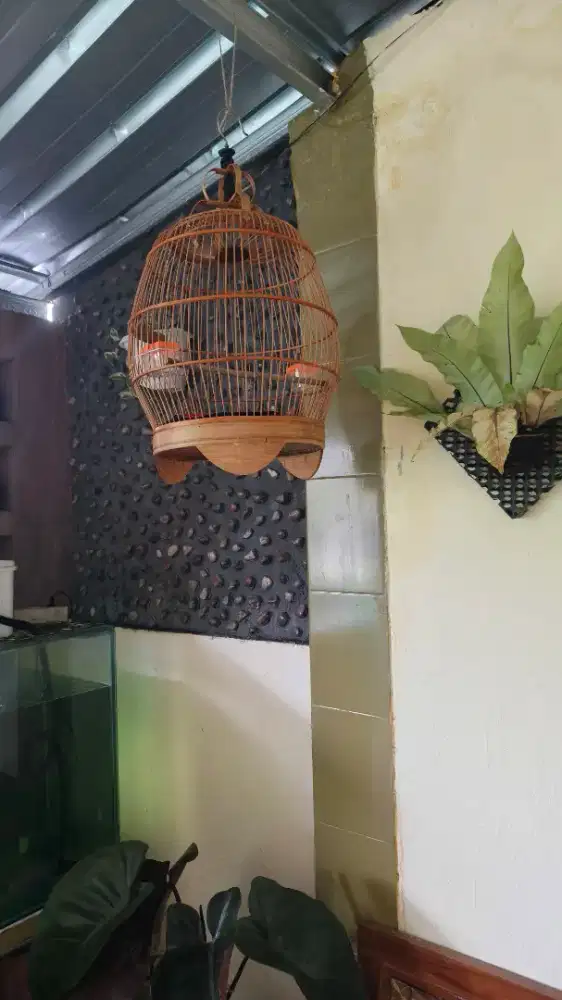 Kandang Burung Gentong