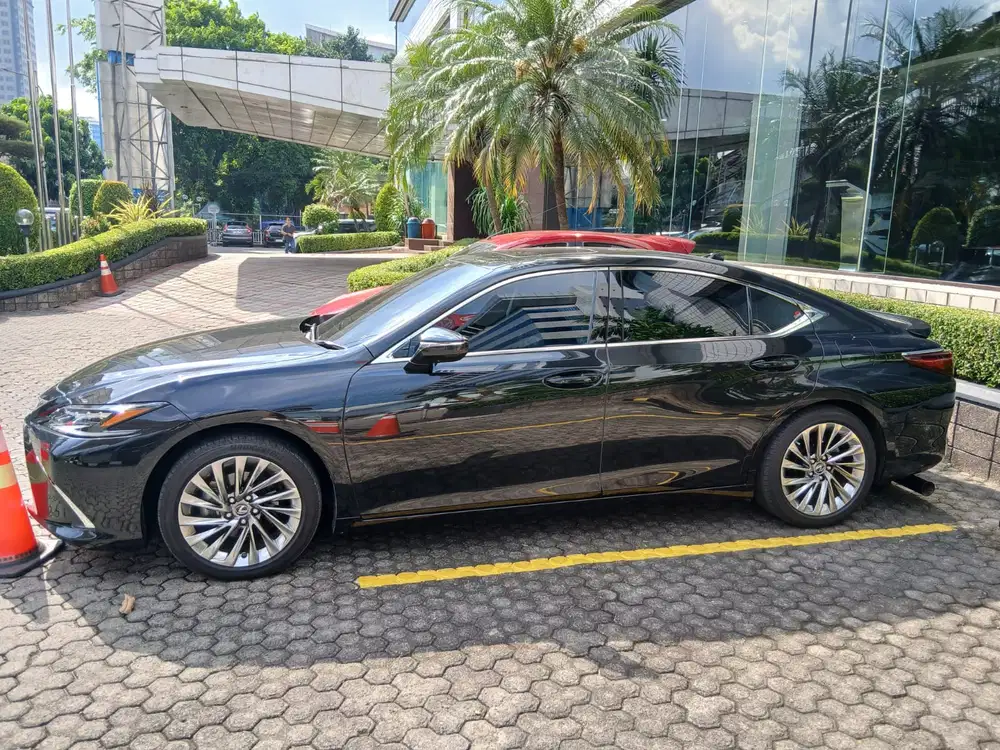 Lexus NX350h 2024 Hybrid