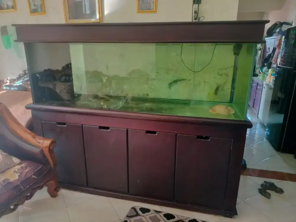 Akuarium Besar Preloved