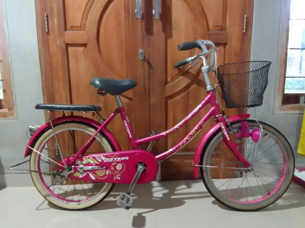 Sepeda mini keranjang 20,