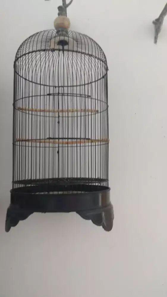 Sangkar bekas,dari pada gak kepakai,bisa bantu kirim