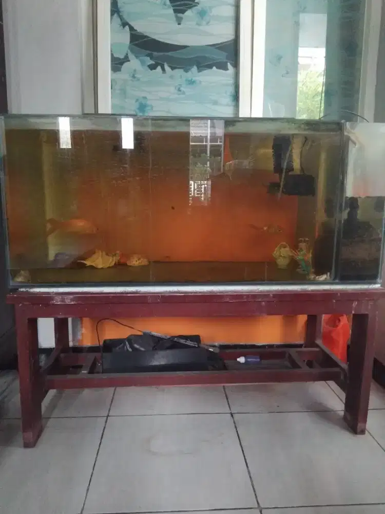 Dijual akuarium ikan bekas