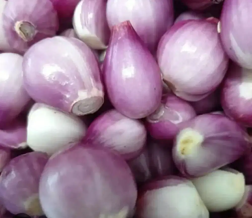 bawang merah kupas
