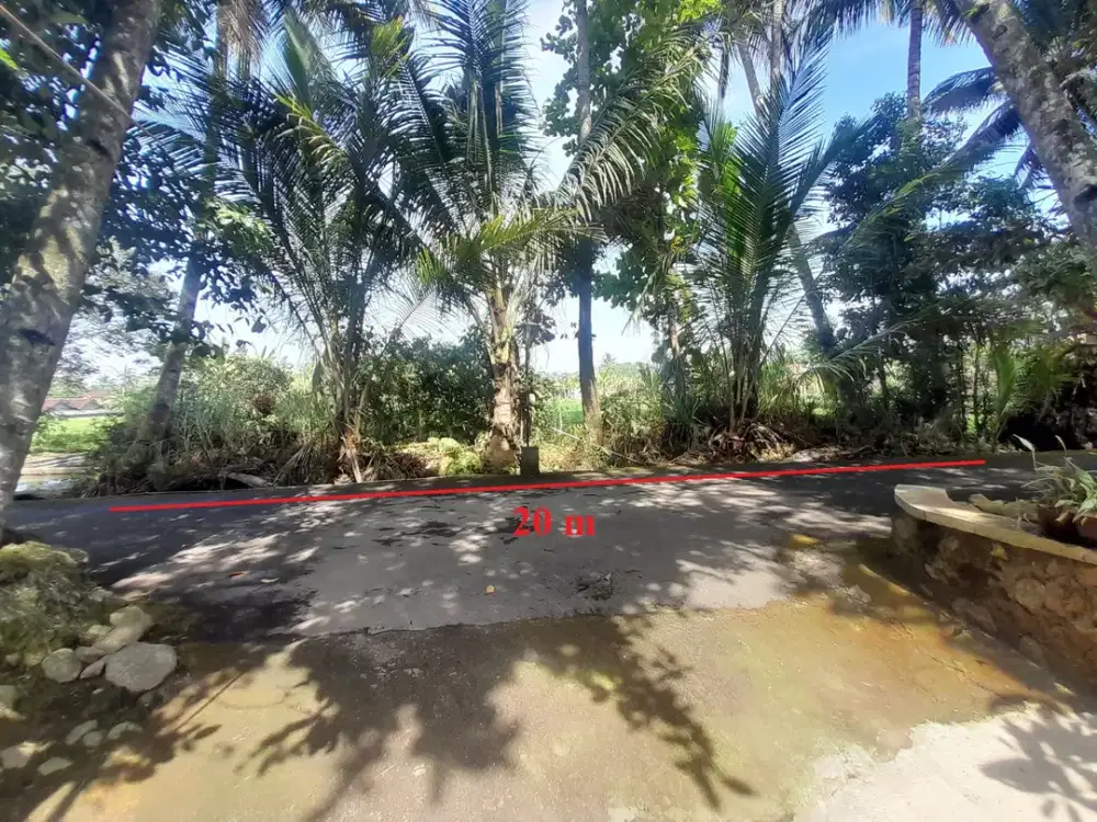 Jual Tanah Murah Di Cangkringan, Cocok Untuk Hunian, Pensiunan & Investasi