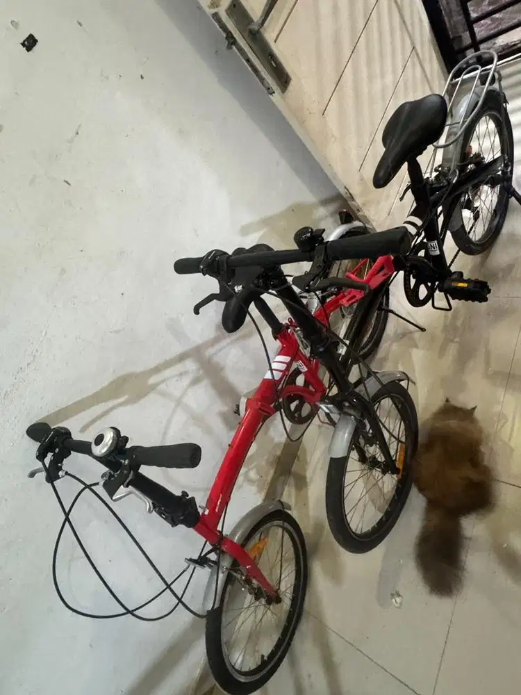 Dijual sepeda airwalk expresso