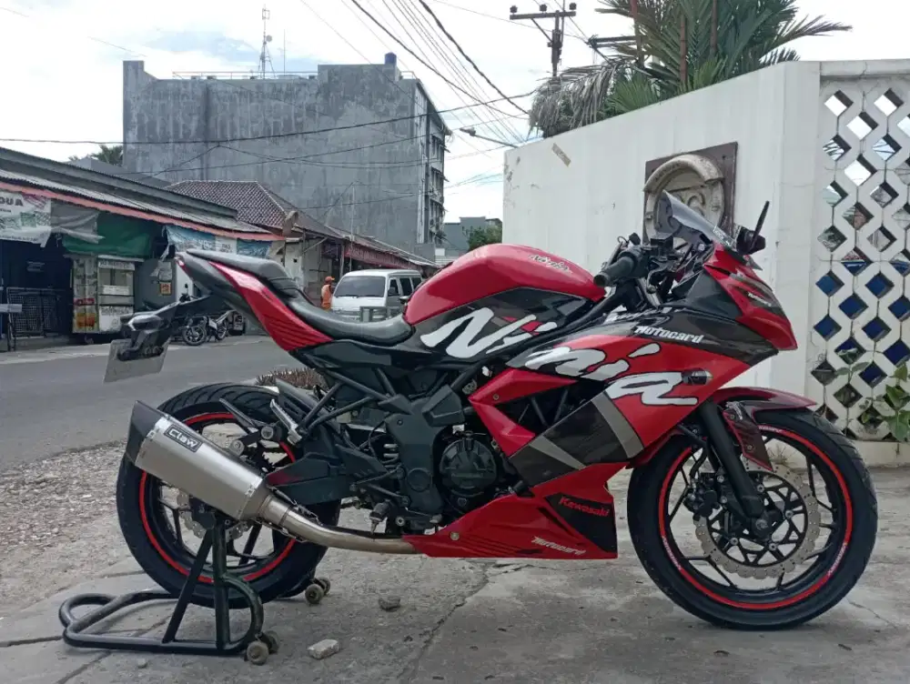 Kawasaki Ninja 250 Mono KM Low Original Muluss