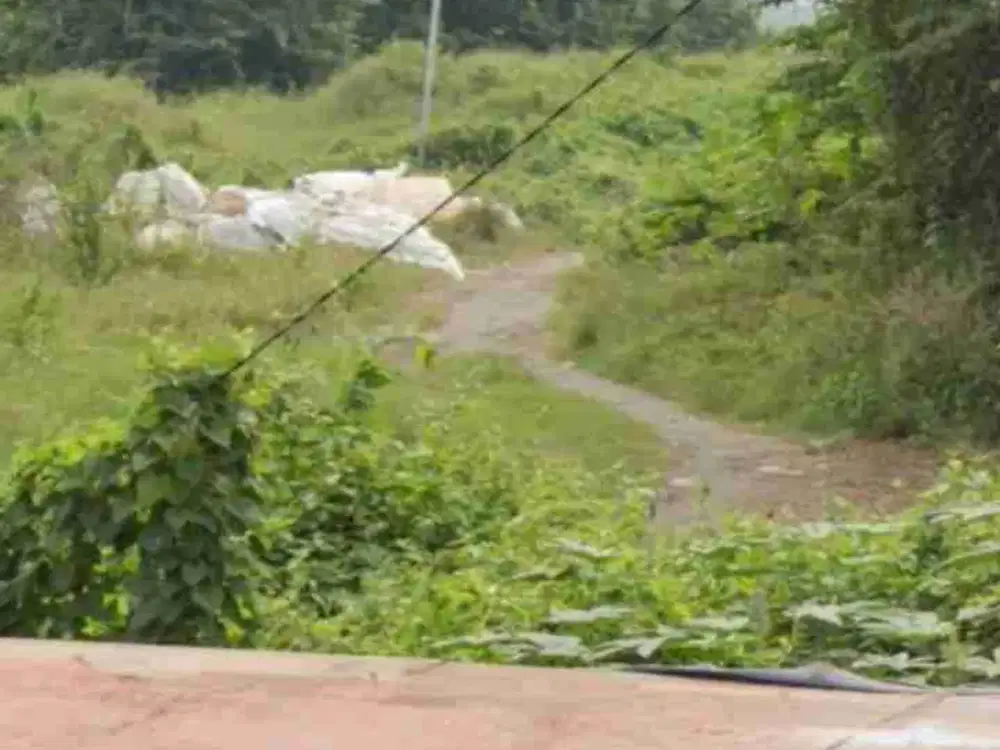 Lahan usaha 118 HA harga 1,6 juta permeter, 3 km dari gerbang tol Manyar, Gresik