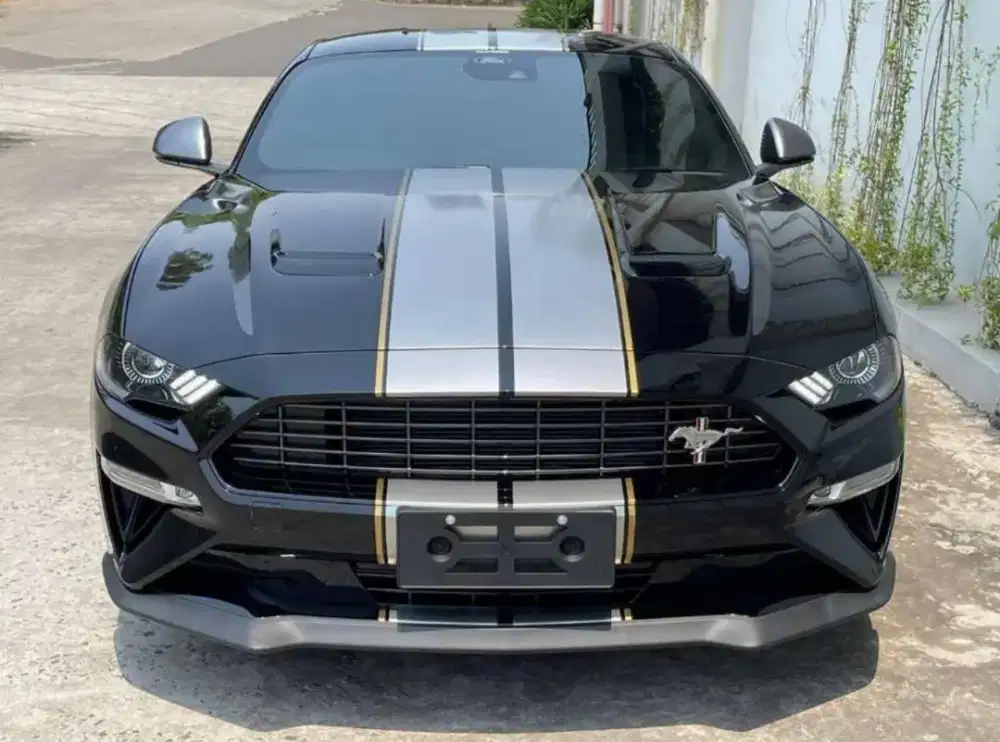 Ford Mustang 2.3L Fastback Ecoboost Turbocharge HIGH PERFOMANCE 2023