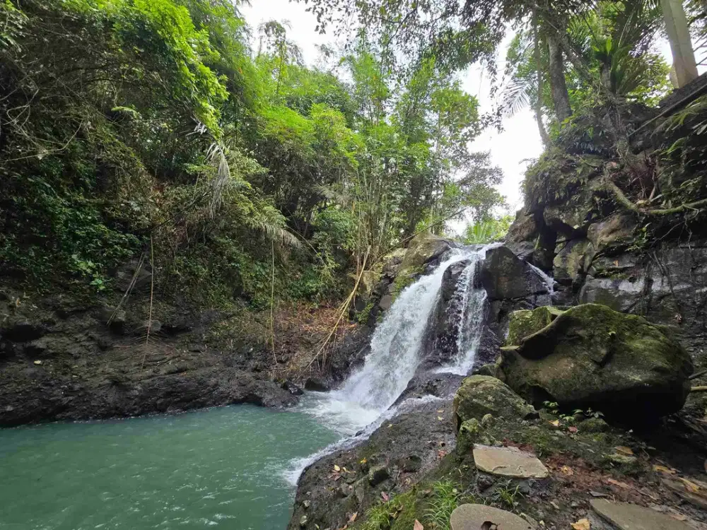diswakan villa exotik susana alam bali harian mingguan sampai tahunan di tabanan