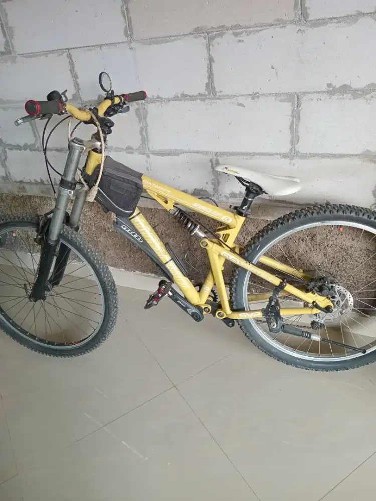 Sepeda gunung pria wanita