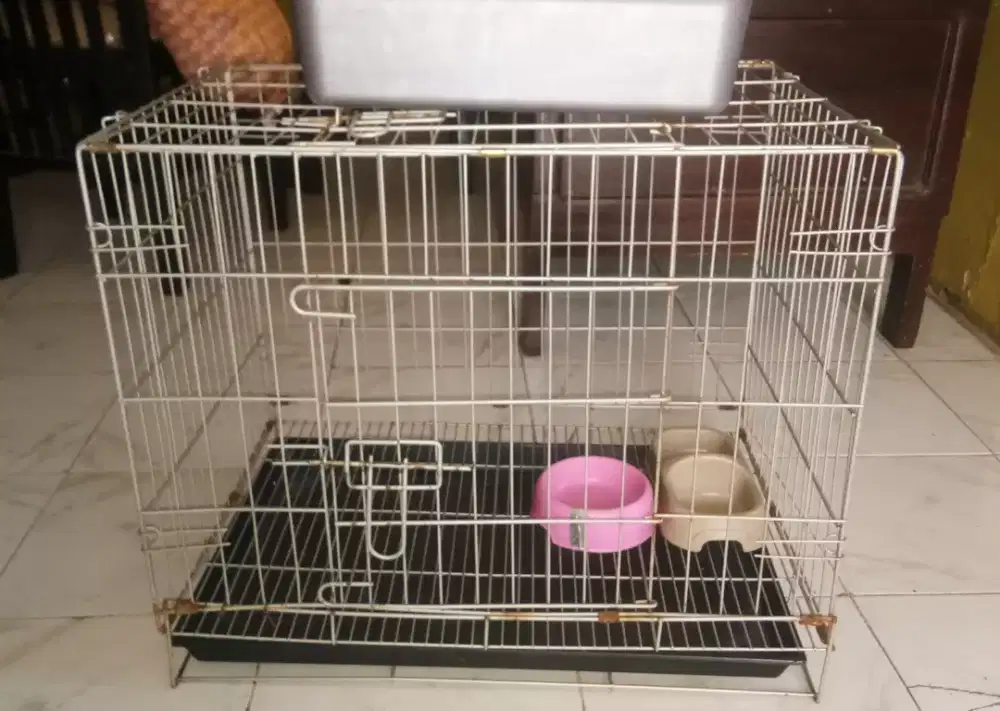 kandang kucing bekas