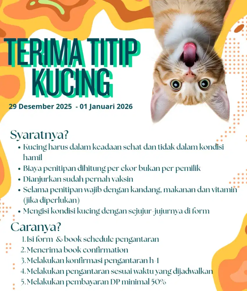 Jasa Titip Kucing 29 Desember 2025 - 01 Januari 2026