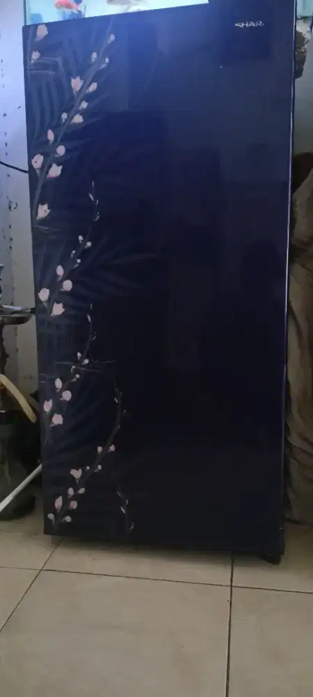Kulkas Sharp 1 pintu