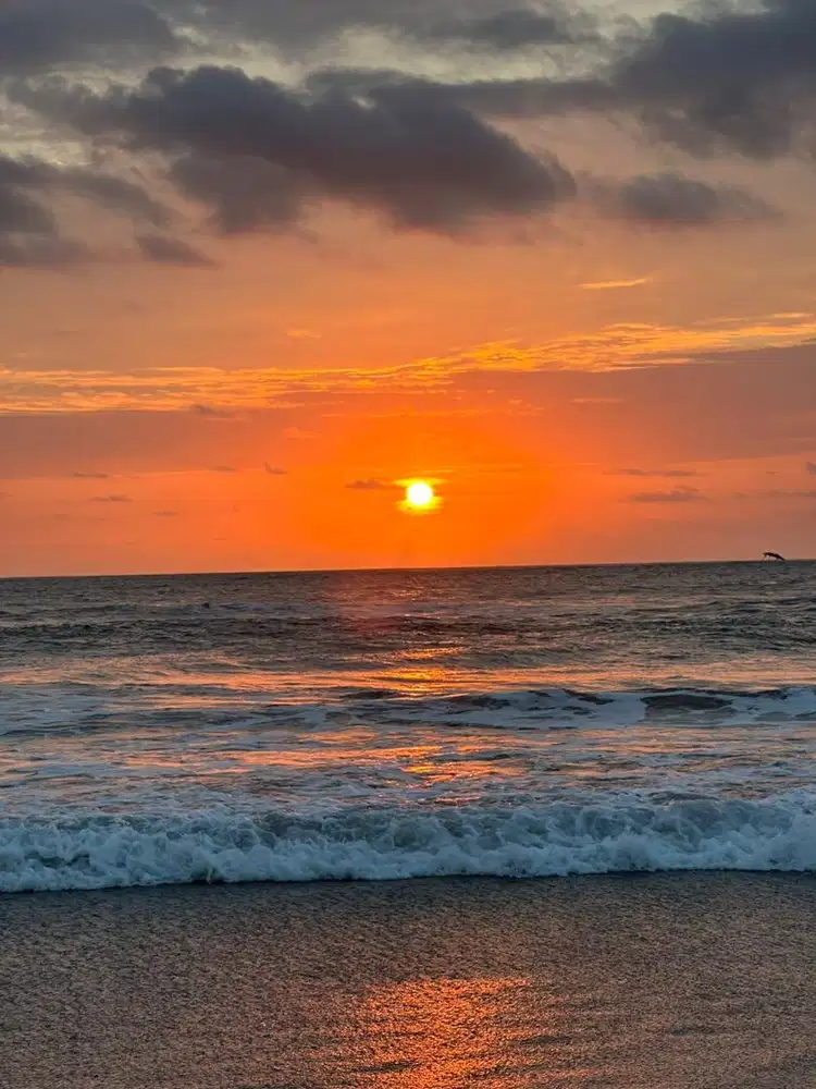 DIBUTUHKAN ART SERABUTAN BISA NAIK MOTOR