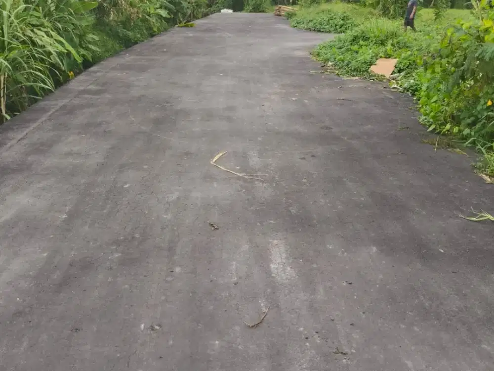 Disewakan Tanah Di Jln Sedap Malam Tunjung Biru Denpasar Bali. Dekat Ke Jalan Hangtuah, Sanur Bali, Pelabuhan Sanur, Plaza Renon, Dll.