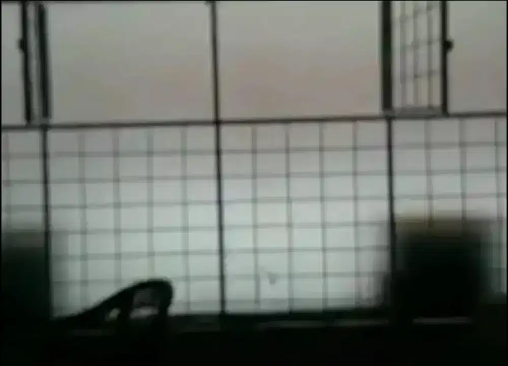 Kemampuan stikersanblas kacafilm mampu menghambat cahayamatahari masuk