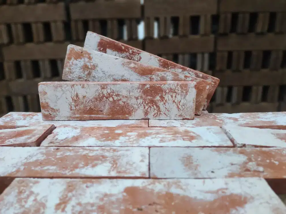 Bata Tempel Vintage⁸