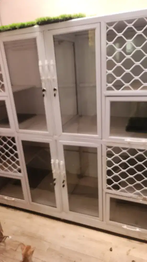 Kandang almini kamar 4