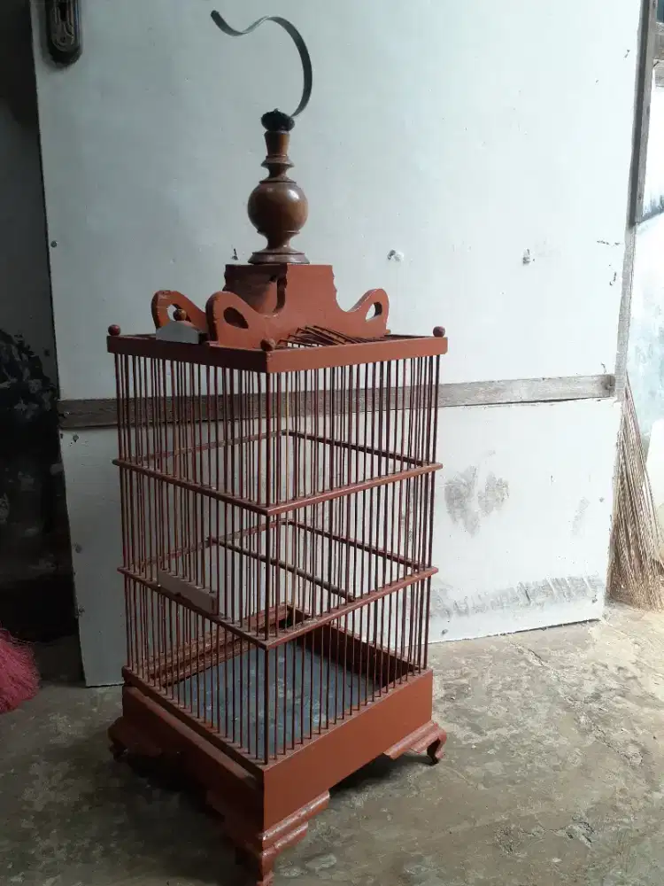 sangkar pleci & burcil