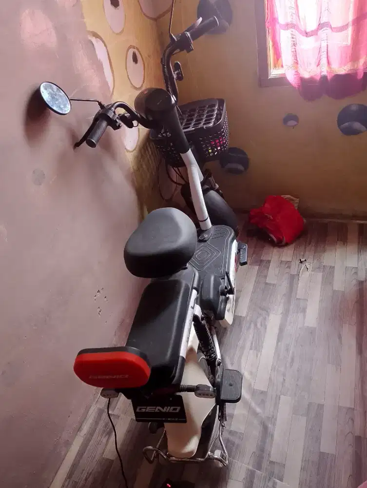 Sepeda listrik jarang di pakai