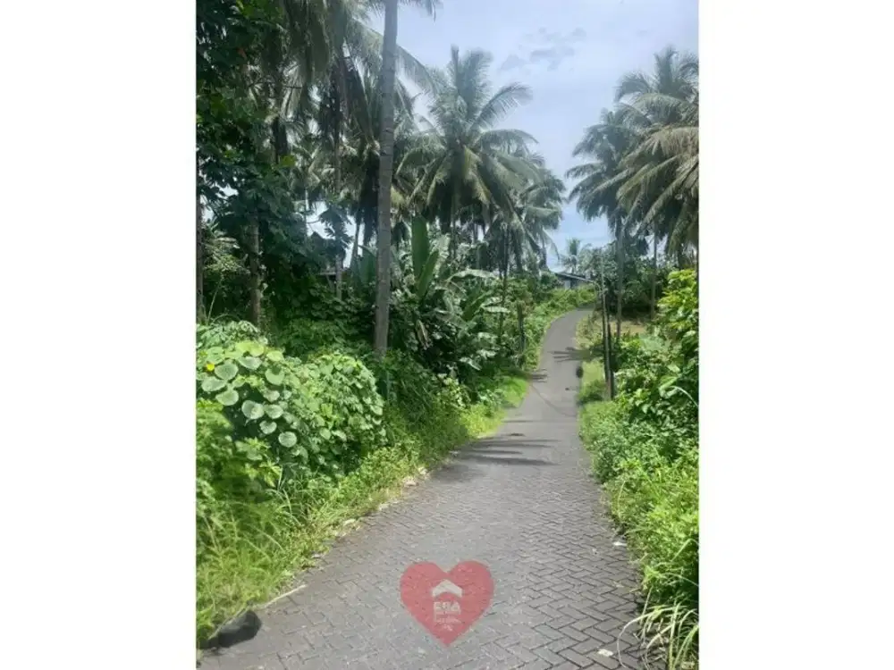 Tanah Luas 5233M2 di Kombos Timur, Singkil Manado