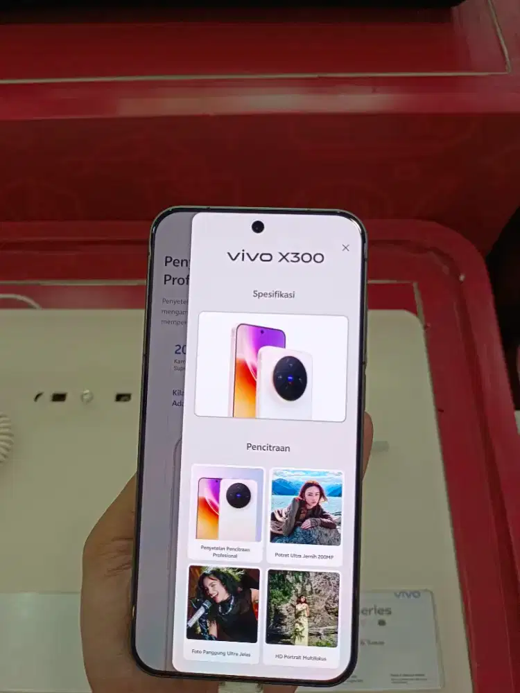 New Vivo X300 Basic