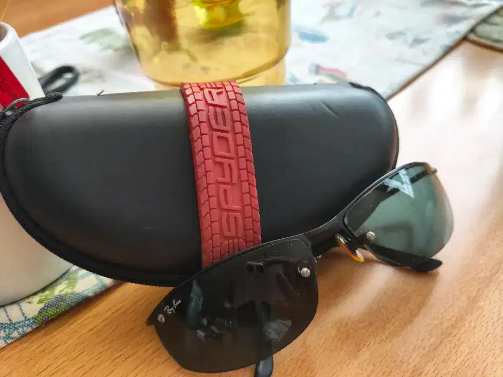 Sunglasses rayyban edisi spider