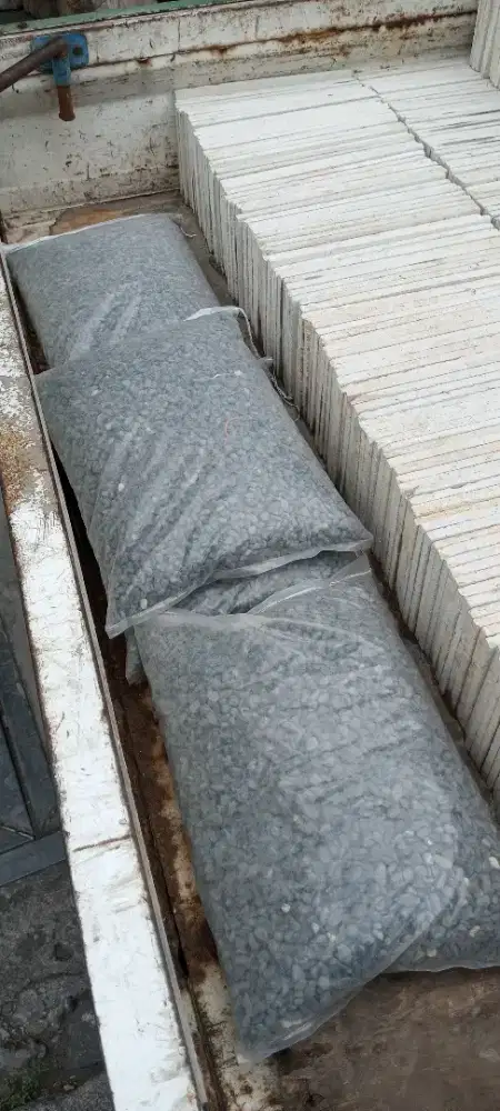 Koral Sikat Sumba Hitam