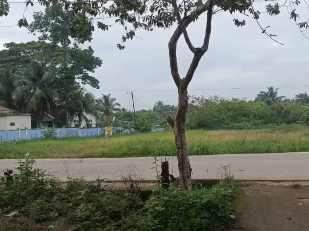 DIJUAL TANAH JALAN UTAMA AREA KANTOR LURAH TALANG JAMBE PALEMBANG