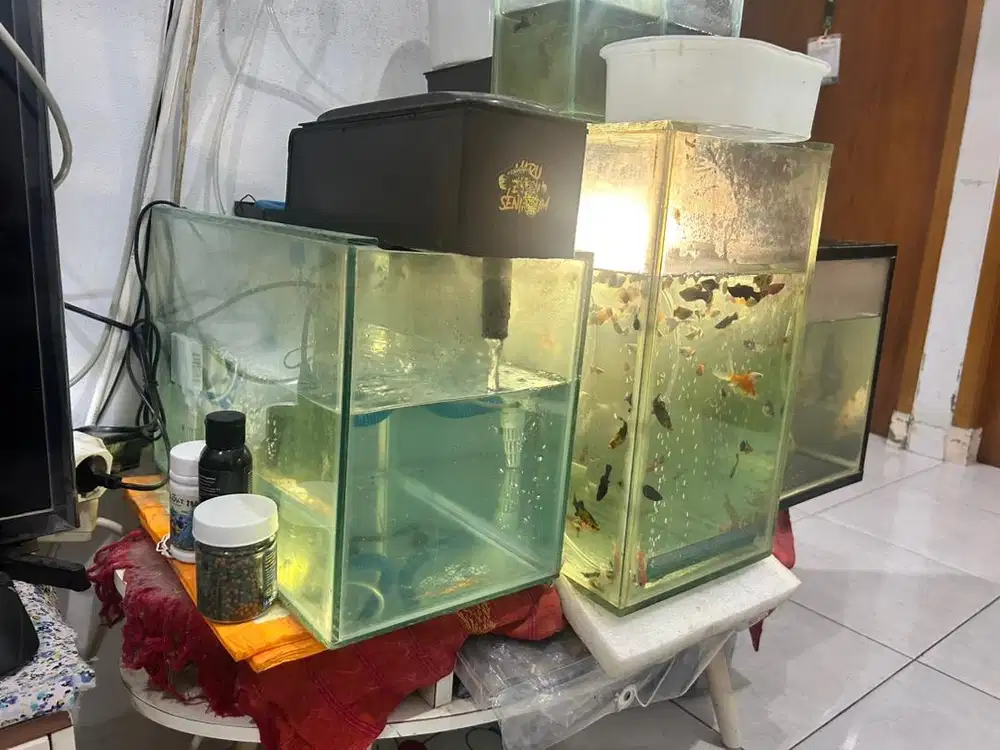 Dijual Aquarium 3 pcs