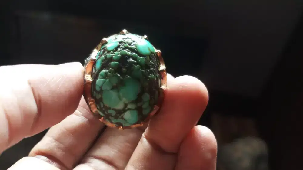 Pirus Persia Ngrikil (Ageman)