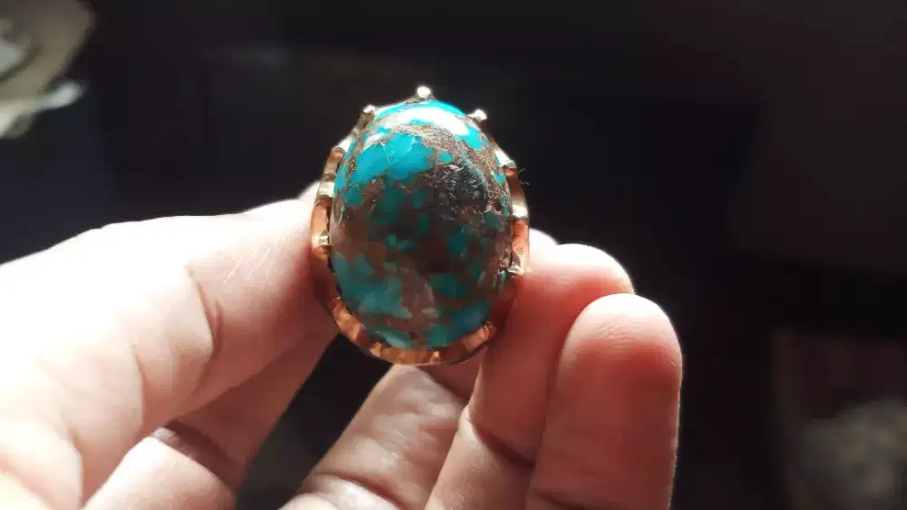 Pirus Persia Blue Fancy