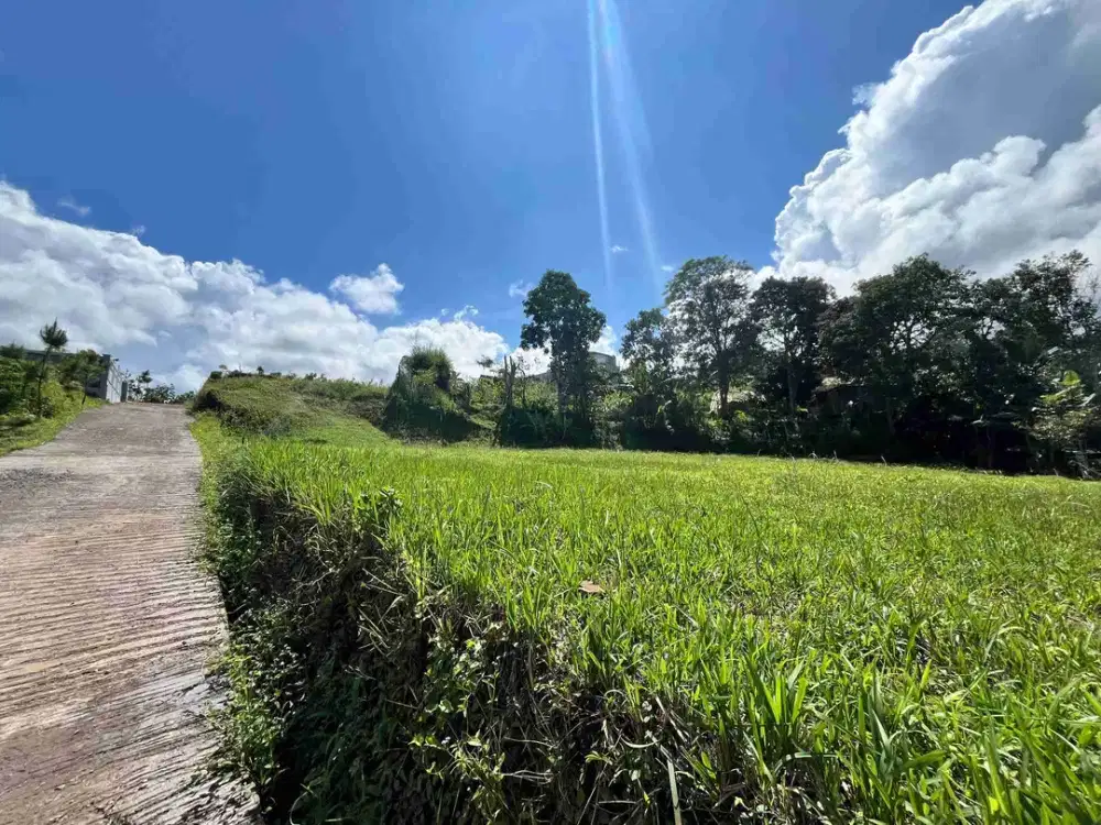 Tanah buas 660m2 di puncak megamendung bogor